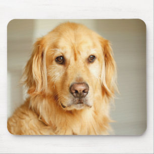 Golden Retriever Portrait Mouse Pad