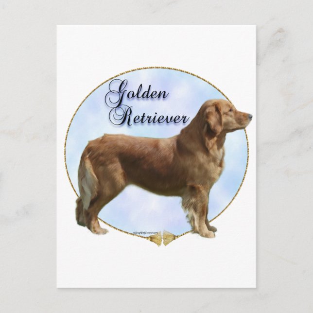 Golden Retriever Portrait Postcard (Front)
