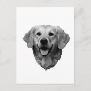Golden Retriever Postcard