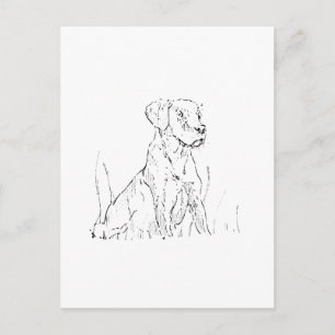  Golden Retriever Postcard - Ink Dog Illustration