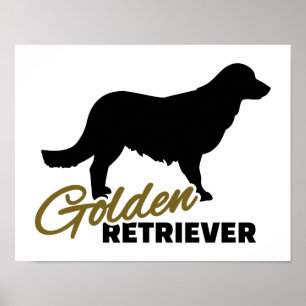 Golden Retriever Poster