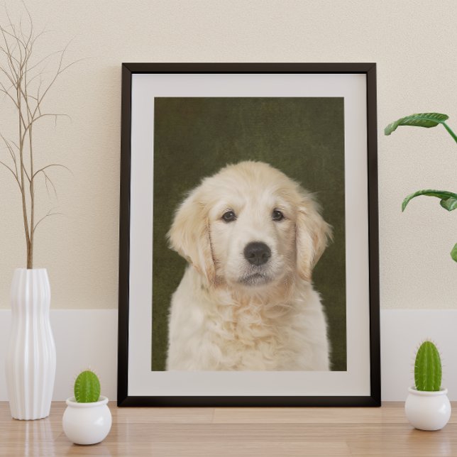 Golden Retriever Poster (Creator Uploaded)