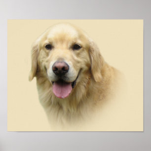 Golden Retriever Print