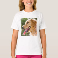 Golden Retriever Profile With Tongue Out