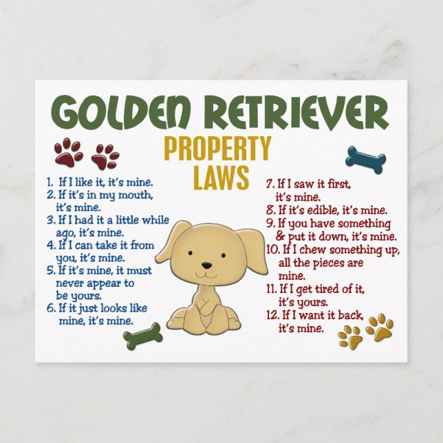 Golden Retriever Property Laws 4 Postcard (Front)
