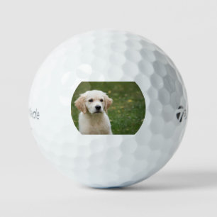 golden-retriever-pup 3 golf balls