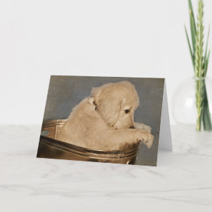 Golden Retriever pup Card