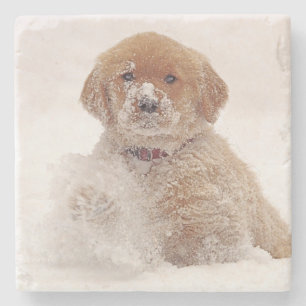 Golden Retriever Pup in Snow Stone Coaster