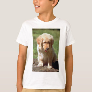 Golden Retriever pup T-Shirt