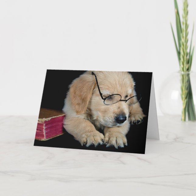 Golden Retriever pup with glasses Card (Front)