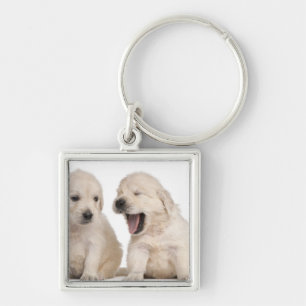 Golden Retriever puppies (4 weeks old) Key Ring