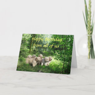 Golden Retriever Puppies Birthday Card