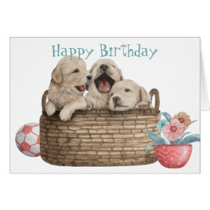 Golden Retriever Puppies in Basket Birthday Card