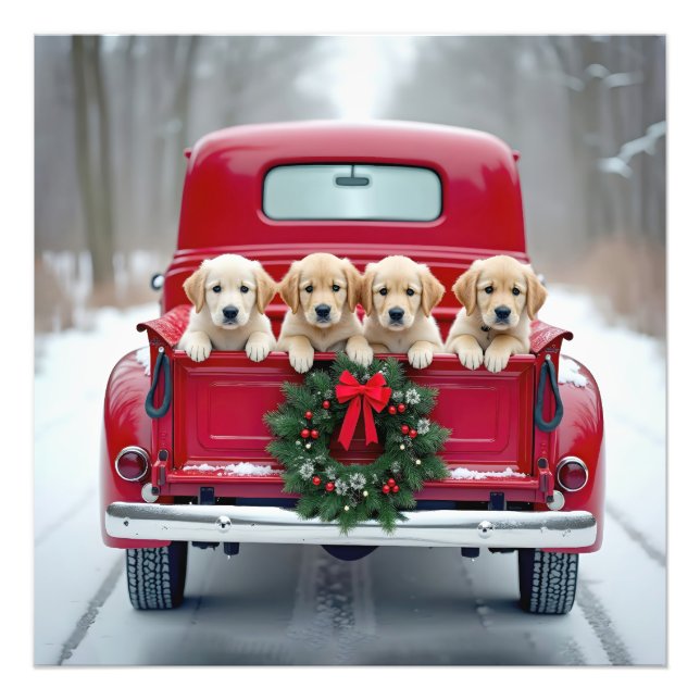 Golden Retriever Puppies In Christmas Truck Photo Print (Front)