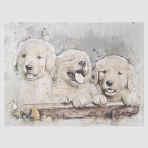 Golden Retriever Puppies Tissue Paper