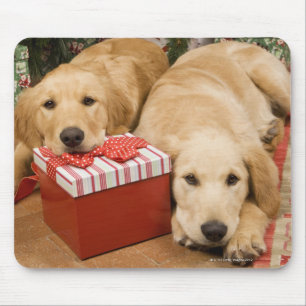 Golden retriever puppies with christmas gift mouse pad