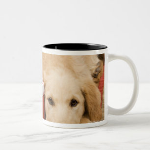 Golden retriever puppies with christmas gift Two-Tone coffee mug