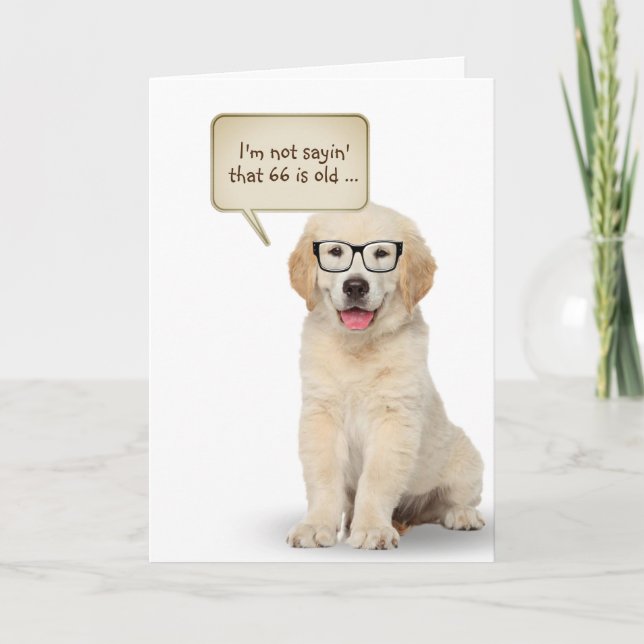 Golden Retriever Puppy 66th Birthday  Card (Front)