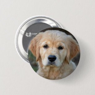 Golden Retriever Puppy 6 Cm Round Badge