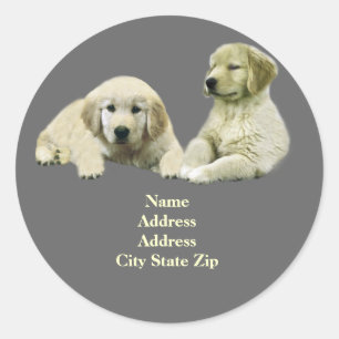 Golden Retriever Puppy Address Label