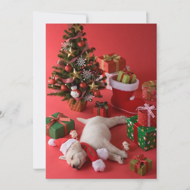 Golden Retriever Puppy and Christmas Holiday Card (Front)