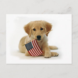 Golden Retriever Puppy and Flag Postcard