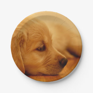Golden Retriever Puppy Antoine Melancholy I Paper Plate