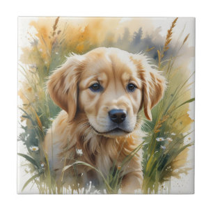 Golden retriever puppy at sunset tile