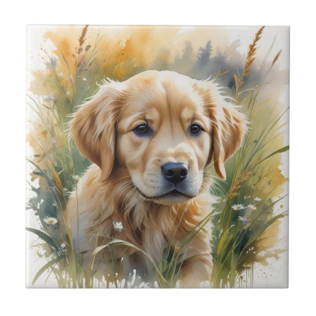 Golden retriever puppy at sunset tile (Front)