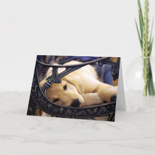 Golden Retriever Puppy Card