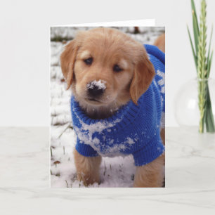 Golden Retriever Puppy Card