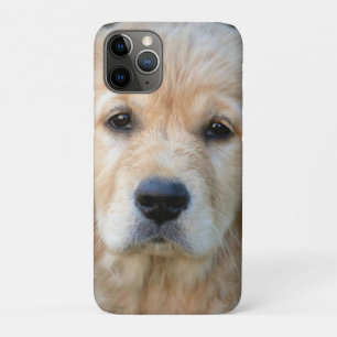 Golden Retriever Puppy Case-Mate iPhone Case