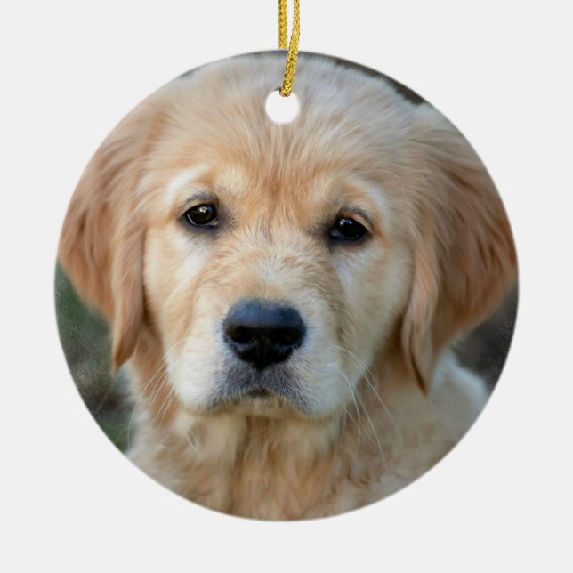 Golden Retriever Puppy Ceramic Tree Decoration (Front)