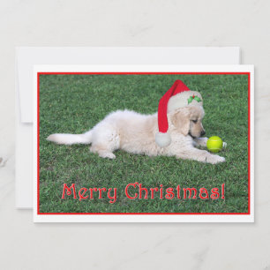 Golden Retriever Puppy Christmas Card Flat