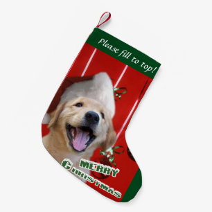 Golden Retriever Puppy Christmas Small Christmas Stocking