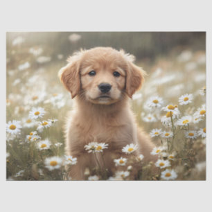 Golden Retriever Puppy Daisy Field Decoupage Tissue Paper