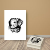 Golden Retriever Puppy Dog Breed Head