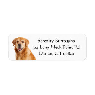 Golden Retriever Puppy Dog Love - Puppies Pup