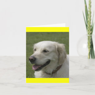 Golden Retriever Puppy Dog Note Card
