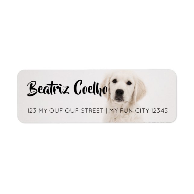 Golden Retriever Puppy Dog Themed Decorative Plain (Front)