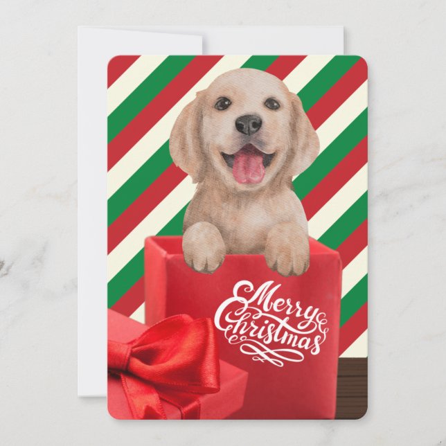 Golden Retriever Puppy Gift Box Red Green Stripe Holiday Card (Front)