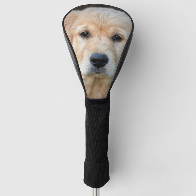 Golden Retriever Puppy Golf Head Cover (Front)