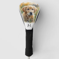Golden Retriever Puppy