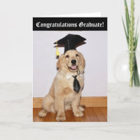 Golden Retriever Puppy Graduation