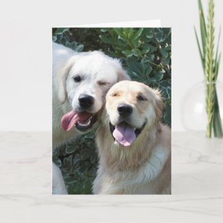 Golden Retriever Puppy Greeting Card