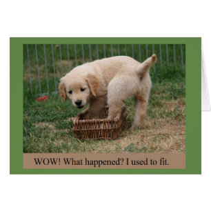 Golden Retriever Puppy Growing Up Funny Card