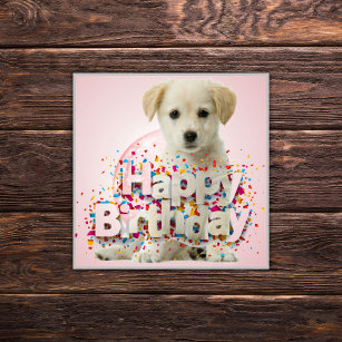 Golden Retriever Puppy Happy Birthday Pink Sticker