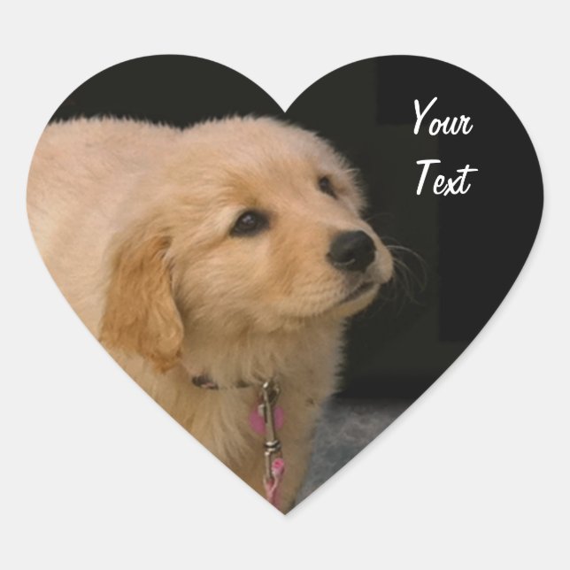 Golden Retriever Puppy Heart Sticker (Front)