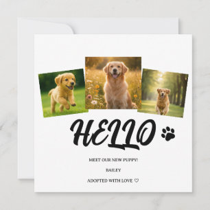 Golden Retriever Puppy Hello Announcement Card