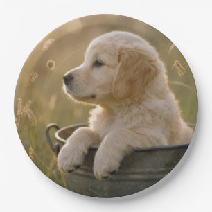Golden Retriever Puppy in a Metal Bucket Paper Plate